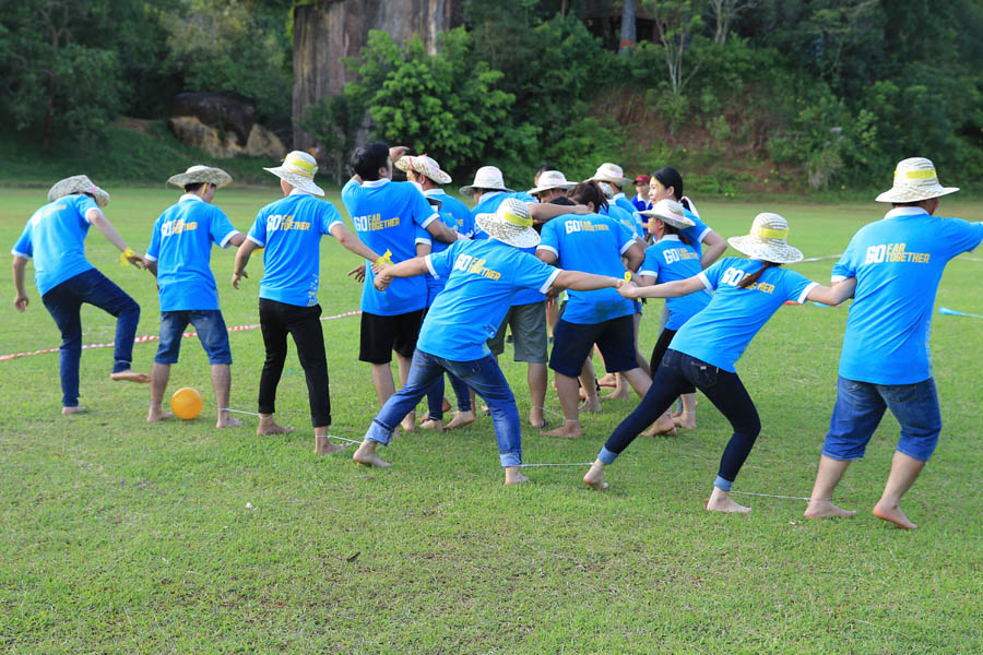 paper packaging company activities in vietnam