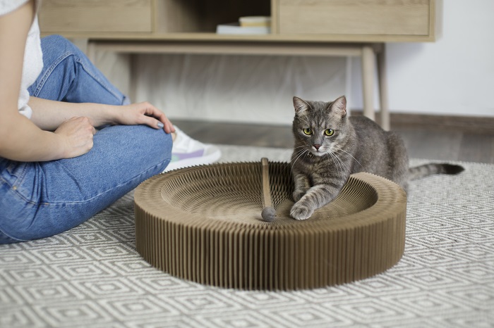 cat scratcher cardboard recycle