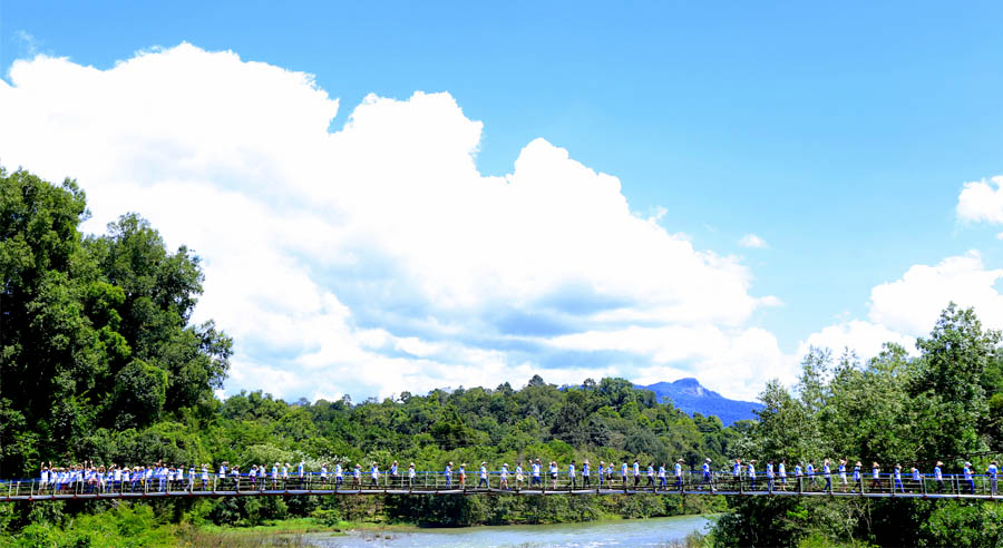 paper packaging company activities in vietnam