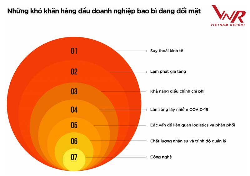 bao bi giay Vietnam