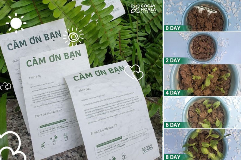 evironmental packaging