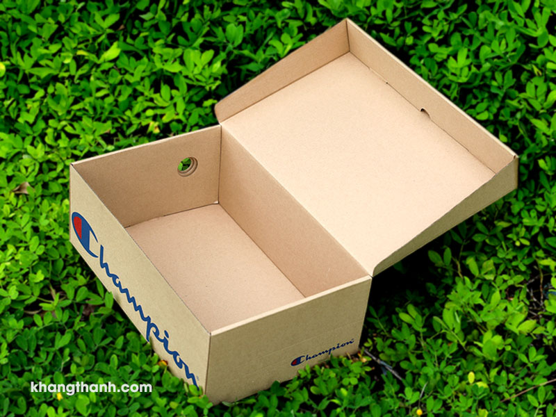 cardboard shoe box with ventilation hole (1)