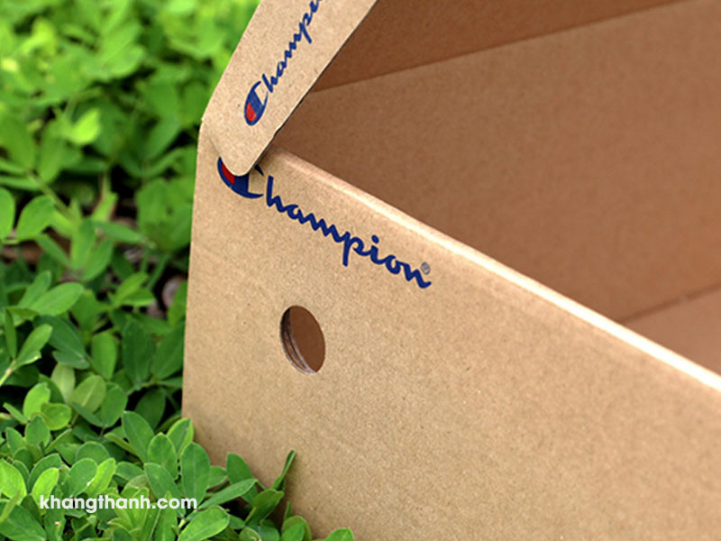 cardboard shoe box with ventilation hole (2)