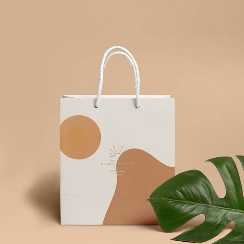paper bag with handle