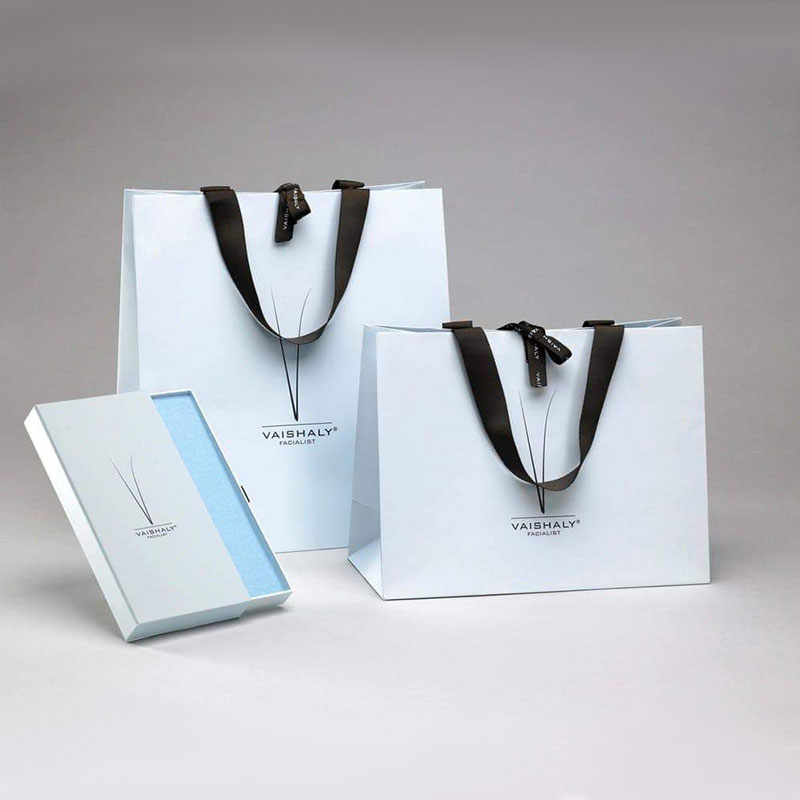 paper bag with handle
