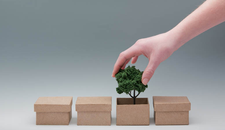 Khang Thanh packaging