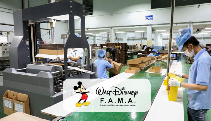 walt disney ils standard