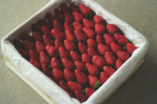 Fruit Packaging Solutions – When preservation becomes the top priorities