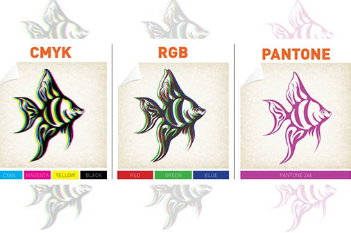Phân biệt hệ màu CMYK, RGB và Pantone trong thiết kế bao bì