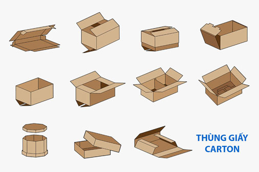 Phân loại và quy trình sản xuất thùng carton phổ biến