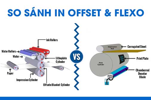 So sánh in flexo hay in offset bao bì giấy
